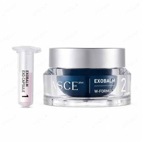 ASCE+ Exobalm Cream — Exosome Recovery Balm 1 Kit (20mg+20ml)