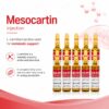 Mesocartin Inj. packaging box detail view